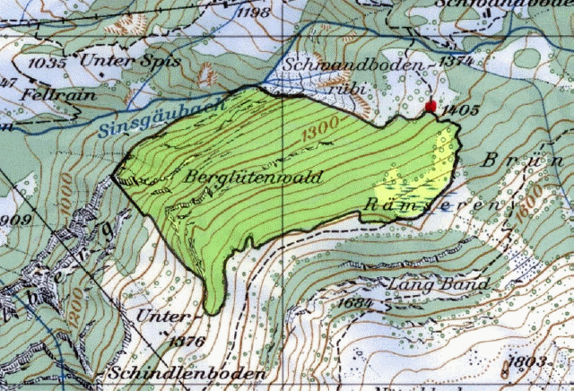 Im Raum Berglütenwald (Gemeinde Wolfenschiessen)