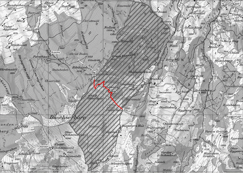 Wildruhegebiet Buochserhorn