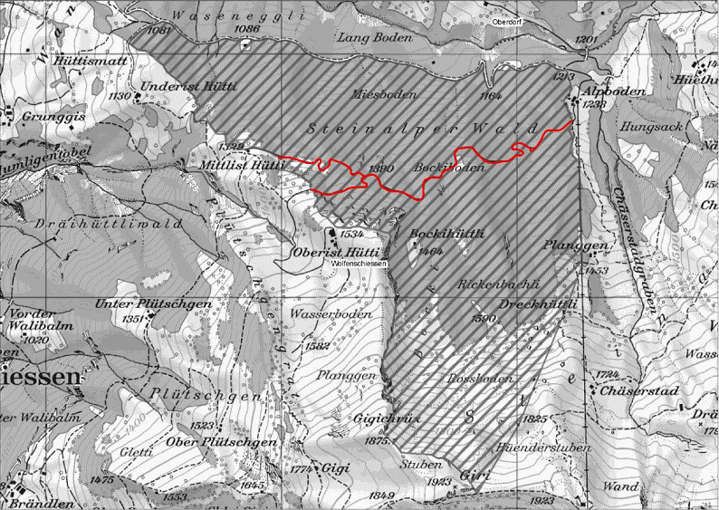 Wildruhegebiet Steinalperwald