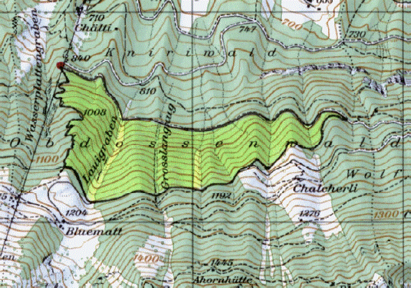 Im Raum Obdossenwald (Gemeinde Stans)