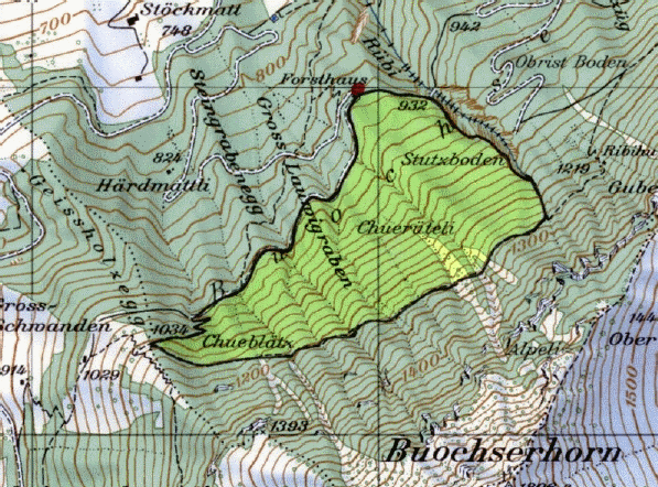 Im Raum Chuerüteli (Gemeinde Buochs)