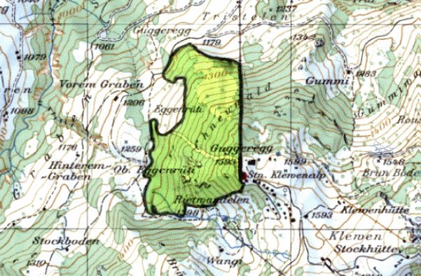 Im Raum Chneuwald (Gemeinde Beckenried)